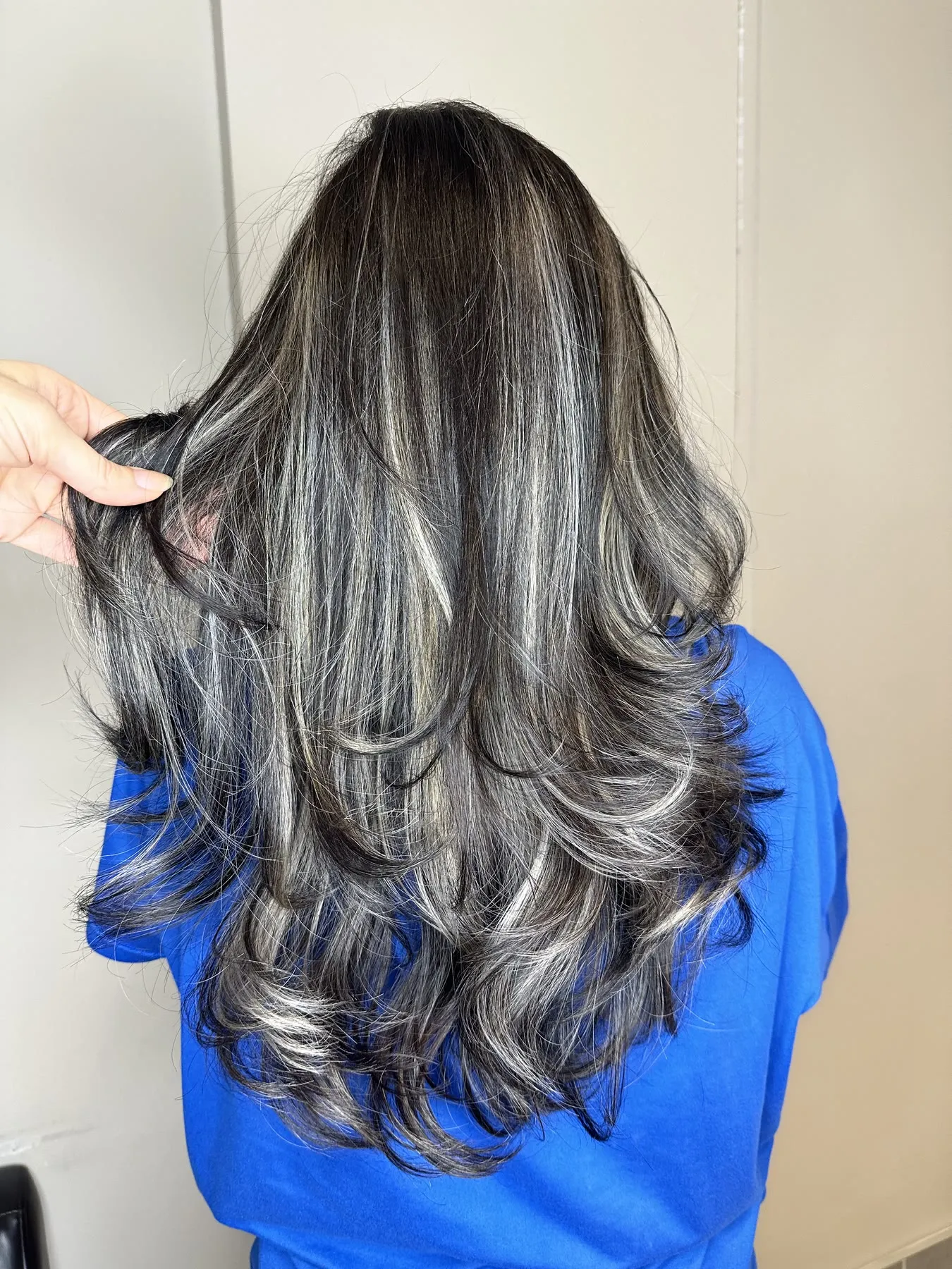 Dark hair with silver ribbon highlights by Ronak Hairstylist in Toronto